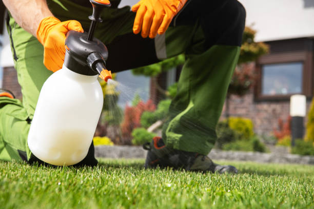 Best Exterminator Services  in Warr Acres, OK