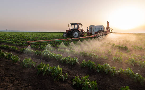 Best Ant Control Services  in Warr Acres, OK