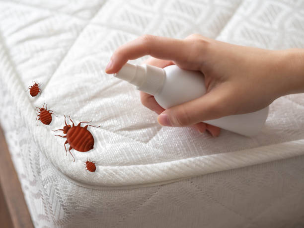 Best Best Pest Control Companies  in Warr Acres, OK